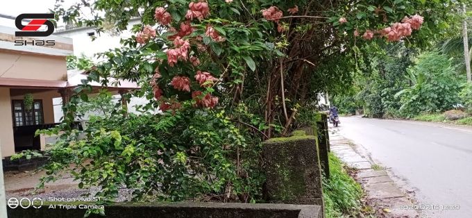 2 BHK residential house in Kottakkal, Malappuram for sale