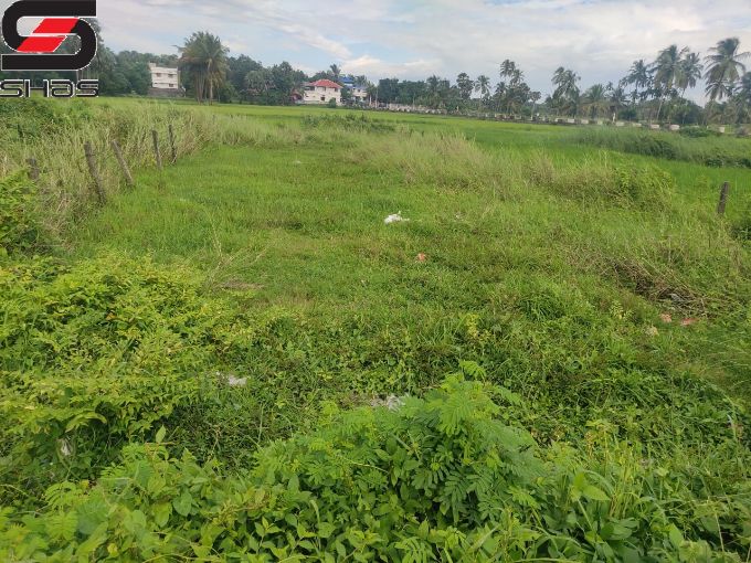 Commercial land for sale in Kallepully, Palakkad Kerala