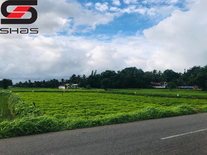Farmland for sale in Alathur, Palakkad Kerala