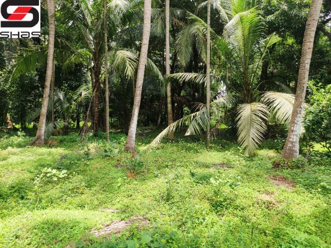 Land or parambu for sale near Kodunthirapully, Palakkad
