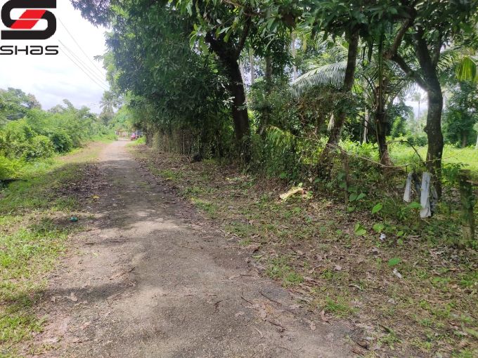Land or parambu for sale near Kodunthirapully, Palakkad