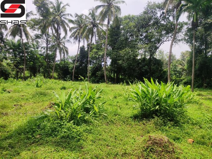 Land or parambu for sale near Kodunthirapully, Palakkad