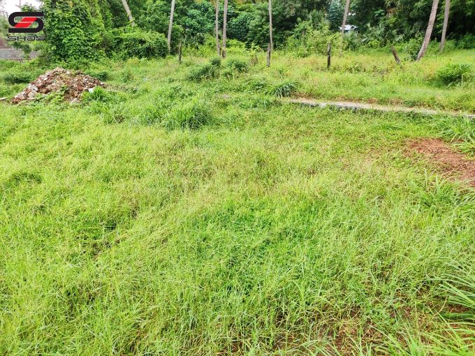 House plot for sale in Kodunthirapully, Palakkad Kerala