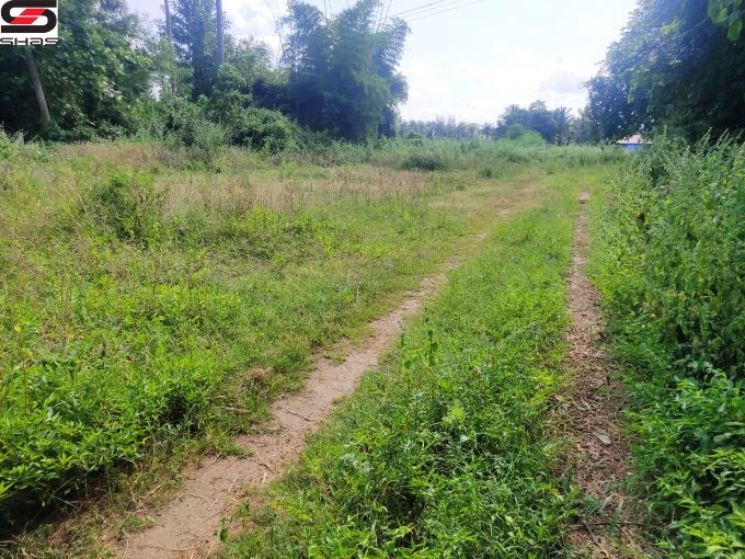 House plot for sale in Kannanur, Palakkad