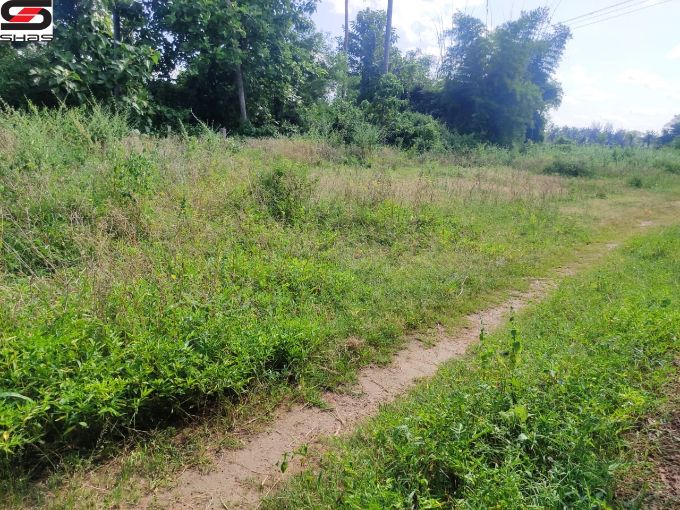 House plot for sale in Kannanur, Palakkad