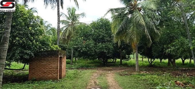 45 acre farmland for sale in Chemmanampathy, Palghat