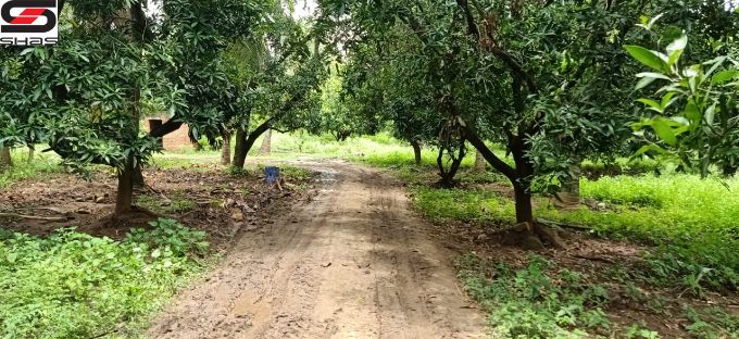 45 acre farmland for sale in Chemmanampathy, Palghat