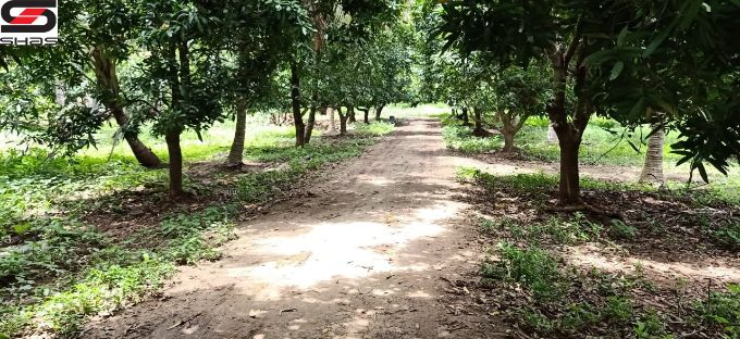 45 acre farmland for sale in Chemmanampathy, Palghat