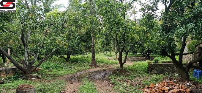 45 acre farmland for sale in Chemmanampathy, Palghat