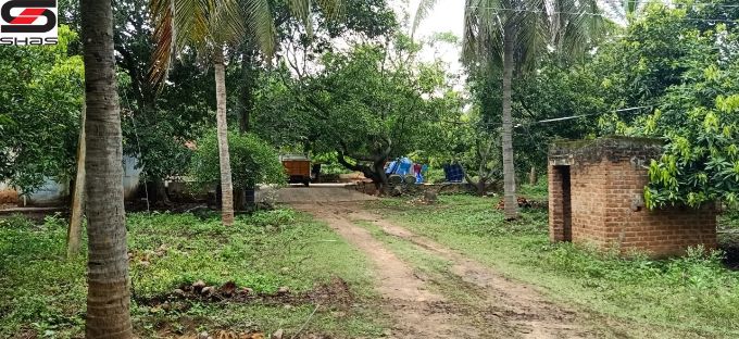 45 acre farmland for sale in Chemmanampathy, Palghat