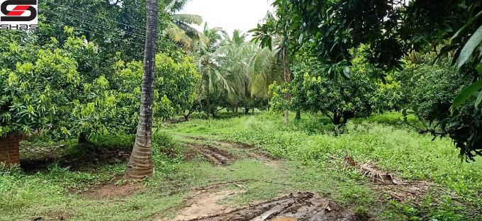 45 acre farmland for sale in Chemmanampathy, Palghat