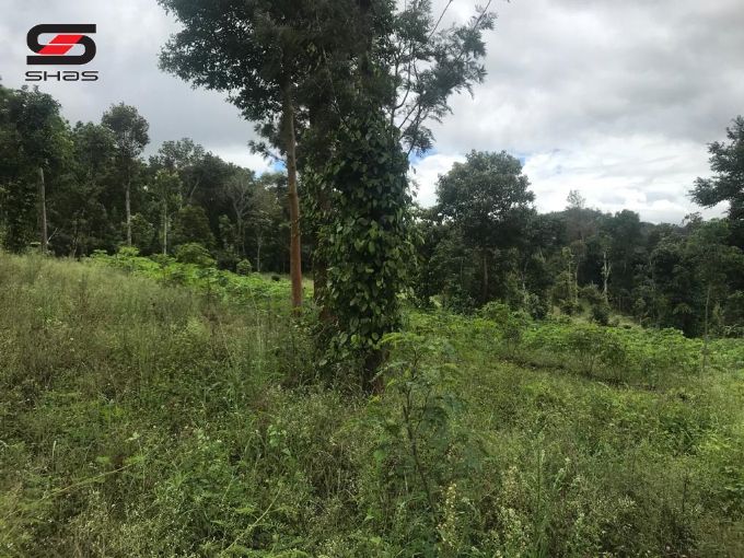 Agricultural land with small house Karunapuram, Idukki