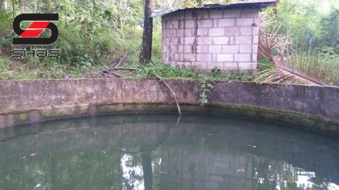 2.5 Acre mixed farmland for sale in Pulpally, Wayanad