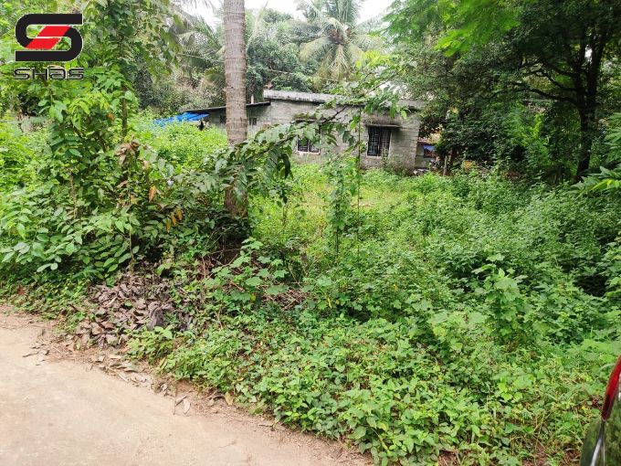 House plot for sale in Parali, Palakkad