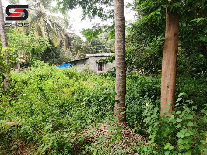House plot for sale in Parali, Palakkad