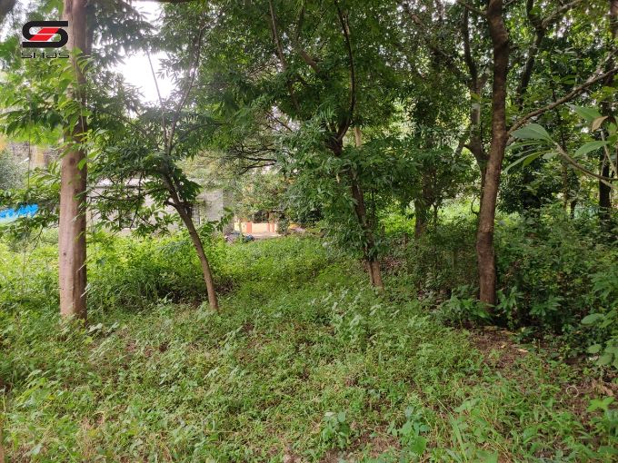 House plot for sale in Parali, Palakkad