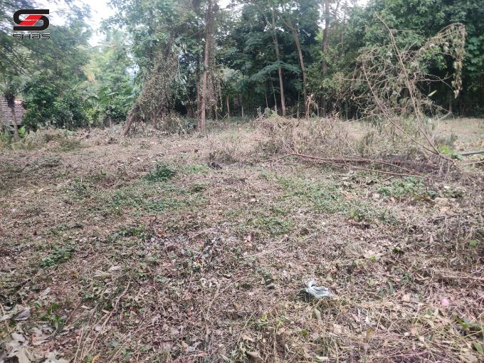 House plot for sale near Puthur, Palakkad