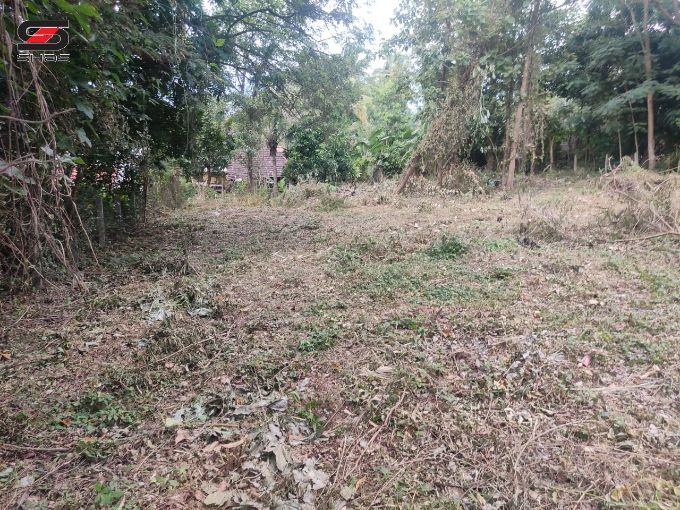 House plot for sale near Puthur, Palakkad