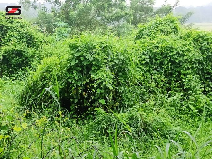 House plot for sale near Kodunthirapully, Palakkad
