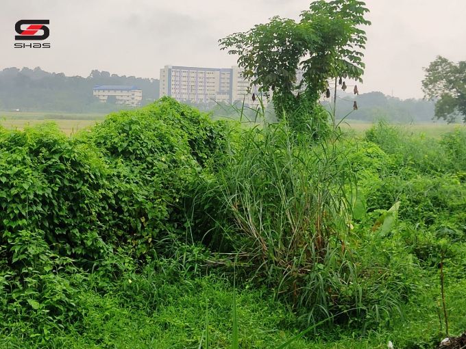 House plot for sale near Kodunthirapully, Palakkad