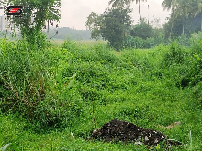 House plot for sale near Kodunthirapully, Palakkad