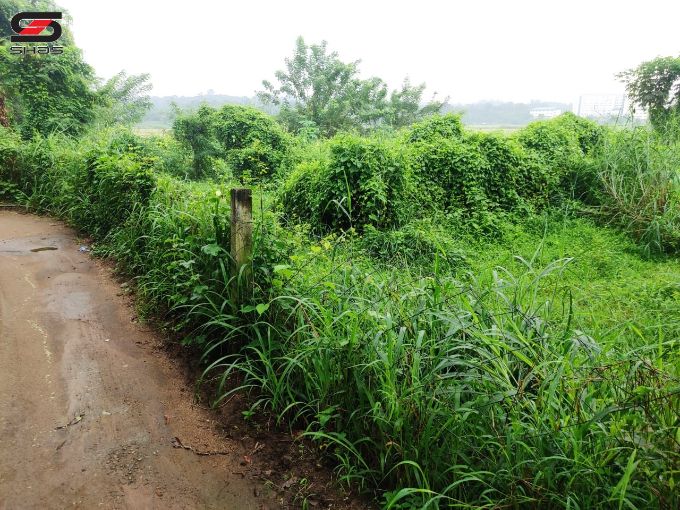 House plot for sale near Kodunthirapully, Palakkad