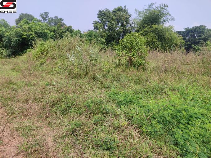 House plot for sale near Kinassery, Palakkad