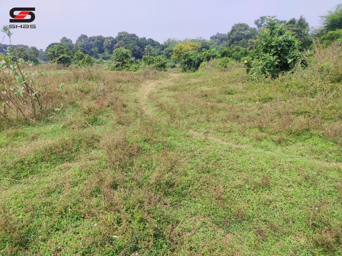 House plot for sale near Kinassery, Palakkad