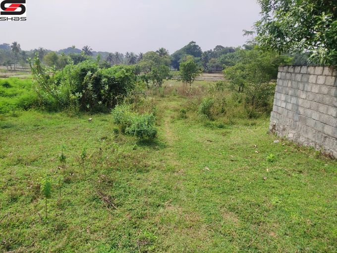 House plot for sale near Kinassery, Palakkad