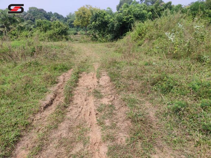 House plot for sale near Kinassery, Palakkad