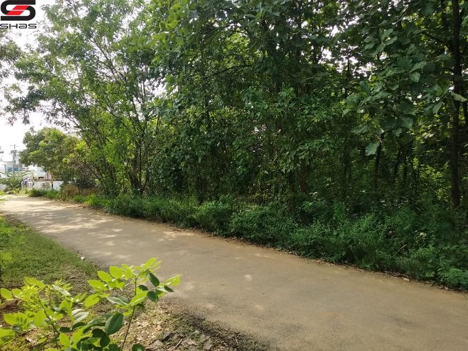 House plot for sale in Erattayal, Palakkad