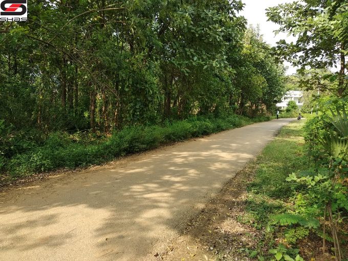 House plot for sale in Erattayal, Palakkad