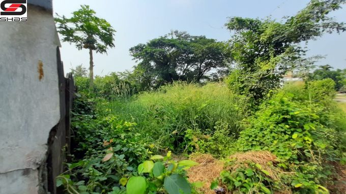 15 Cents house plot in Puthur, Palakkad for sale