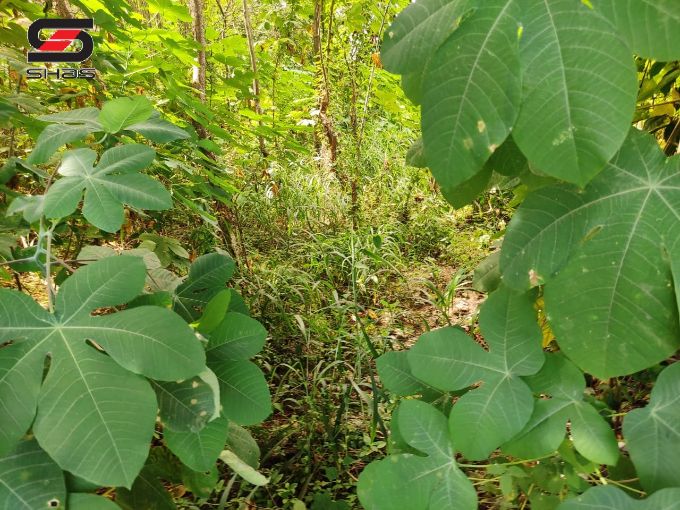 10 Cents house plot for sale in Kodunthirapully, Palghat