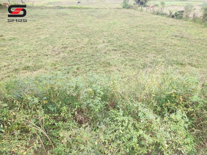 18 Cents house plot for sale in Parali, Palakkad
