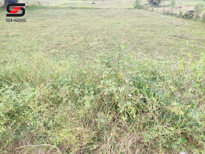 18 Cents house plot for sale in Parali, Palakkad