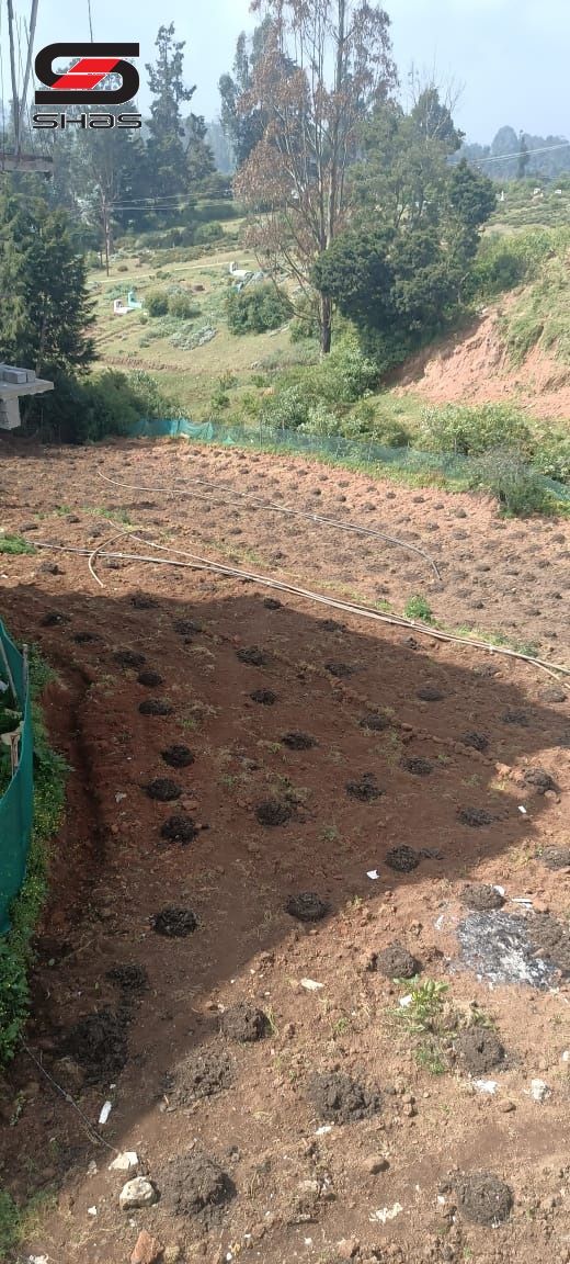 House plot for sale in Ooty, Niligiris