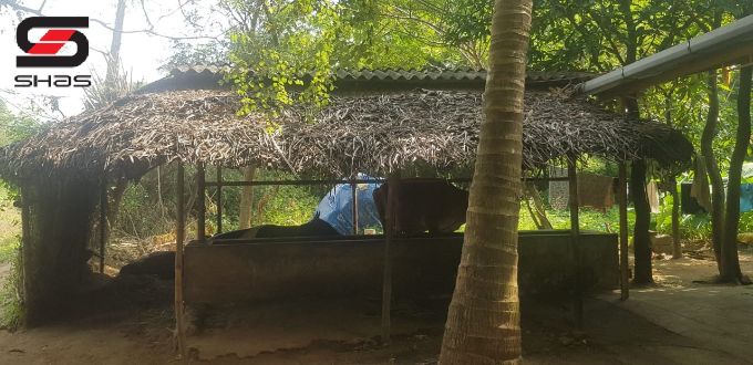 60 Cents land with house for sale in Pallatheri, Palakkad