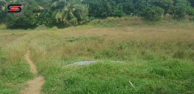 60 Cents land with house for sale in Pallatheri, Palakkad