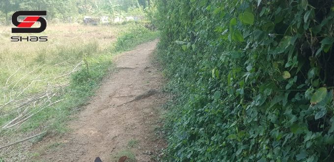 60 Cents land with house for sale in Pallatheri, Palakkad