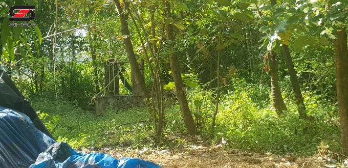 60 Cents land with house for sale in Pallatheri, Palakkad