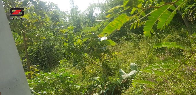 60 Cents land with house for sale in Pallatheri, Palakkad