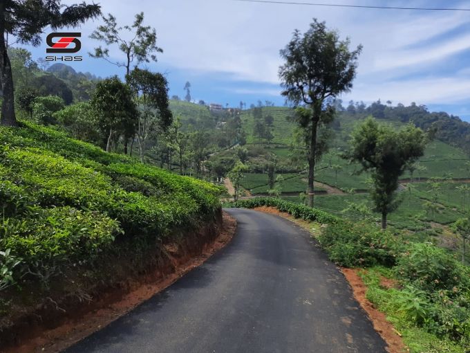 Tea estate for sale in Ooty, Nilgiris