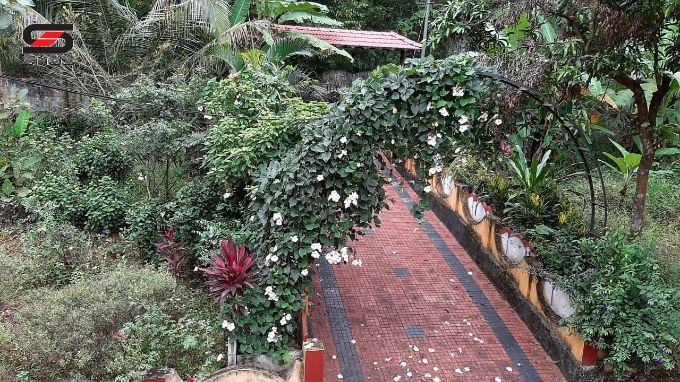 1 Acre land with 3 BHK house for sale in Sreekrishnapuram, Palakkad