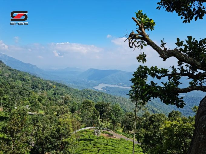 Tea estate in Ooty, Nilgiris for sale