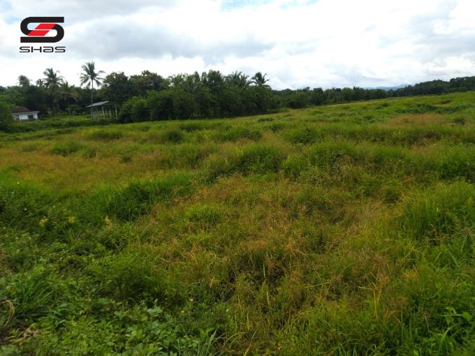 Farmland in Thiruvilwamala, Thrissur for sale