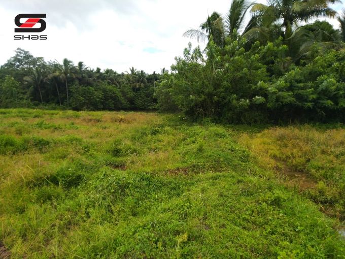 Farmland in Thiruvilwamala, Thrissur for sale