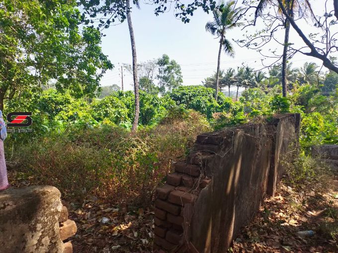 Land for sale in Vennakkara, Palakkad