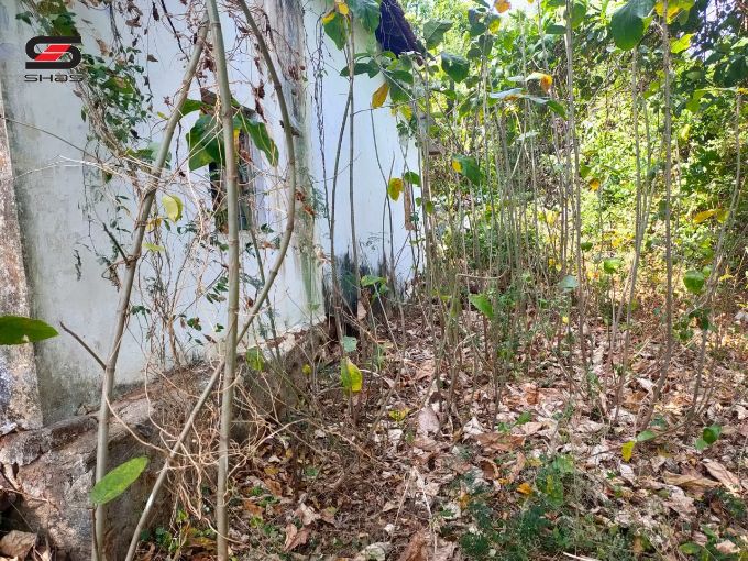 Land for sale in Vennakkara, Palakkad