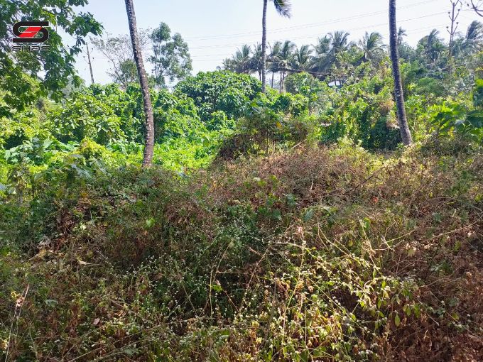 Land for sale in Vennakkara, Palakkad